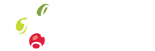 Firma Mierzyński